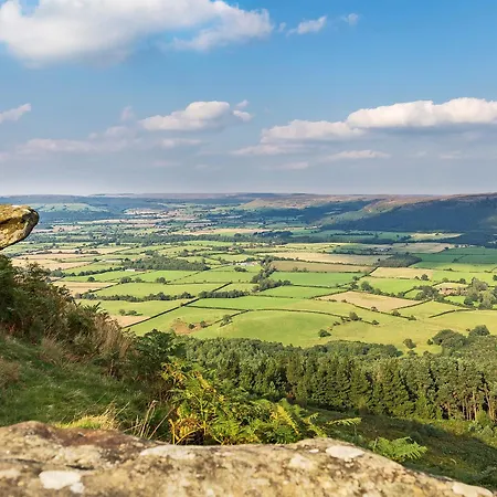 Pear Tree Kirkbymoorside